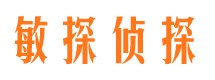 峡江侦探公司